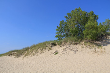 Fototapeta na wymiar Dunes in Ludington State Park in Michigan