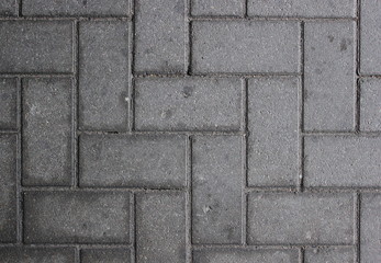 Fototapeta premium Paved walkway made from concrete blocks usable as background or texture