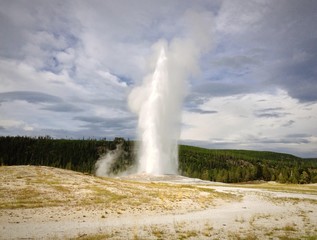 Old Faithful 