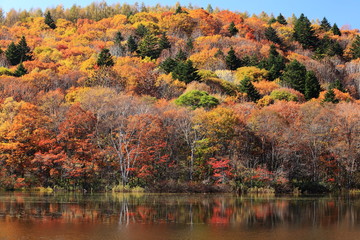 秋の戸隠高原　紅葉の小鳥ヶ池