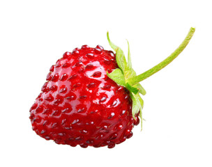 Wild strawberry isolated