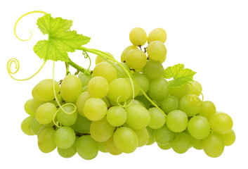 Green grape isolated