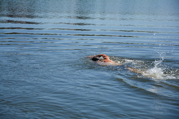 Fototapeta premium Swimming