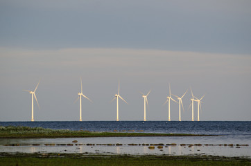 Wind turbines at the coast