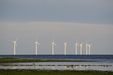 Wind turbines at the coast