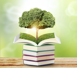Open book with green tree