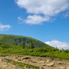 Mountain view from the top of Goverli, Carpathians