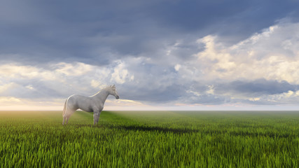 white horse - Powered by Adobe