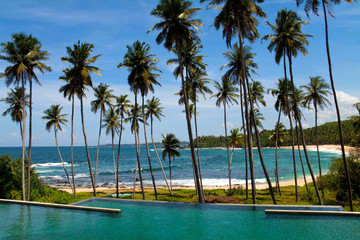 Palms and sandy beach