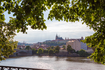 Fototapeta na wymiar Prague. The St. Vitus Cathedral.Prague castle.