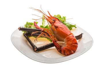 Giant Freshwater Prawn