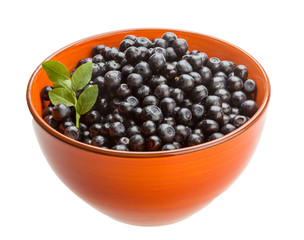 Blueberry