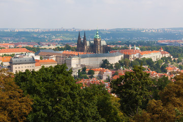 Fototapeta premium Prague. The St. Vitus Cathedral.