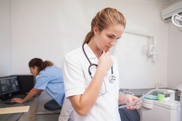 Obraz premium Dental assistant looking at x-ray