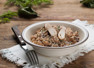 Risotto with mushroom