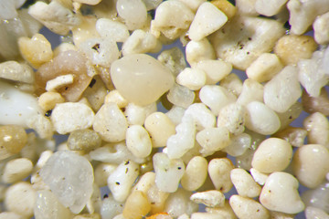 Microphotography of sand grains