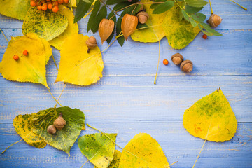 Autumn background leaves fruits blue table © Yotka