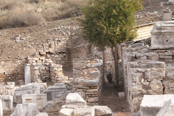 The ruins of the house