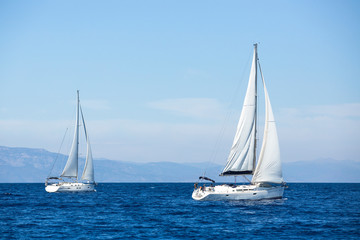 Sailing ship yachts in the sea.