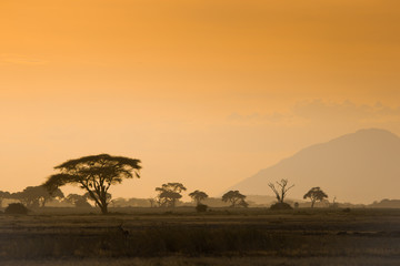 African sunset