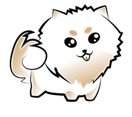 pomeranian