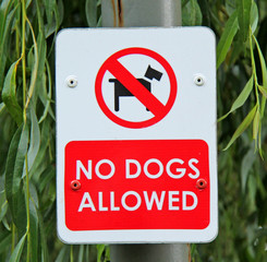 An Information Sign Banning Dogs from a Park Area.