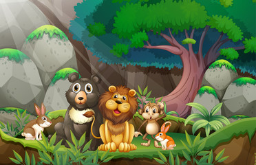 Obraz na płótnie Canvas animals in jungle