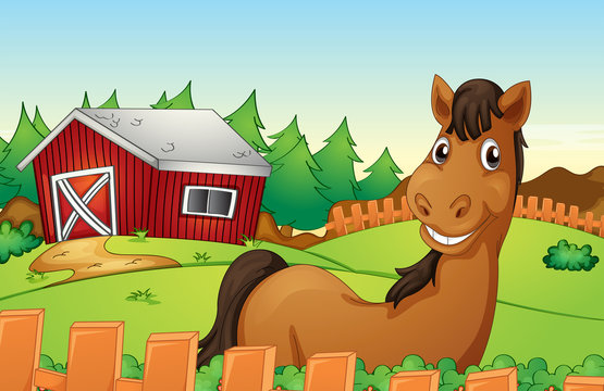 Horse and farm