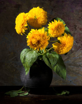 Still life with beautiful sunflowers in vase