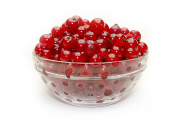 red currant in glass bowl