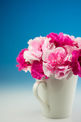 カーネーション