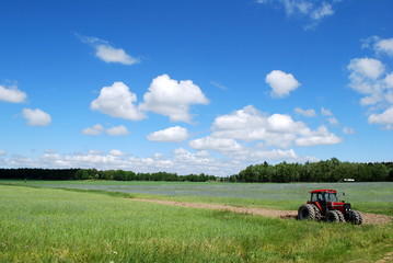 feld in schweden © tinadefortunata