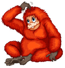 Orangutan © GraphicsRF