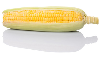 Sweet corn over white background © akulamatiau