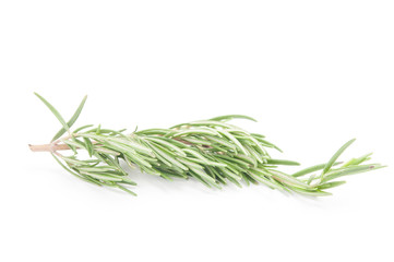 Fototapeta premium Rosemary