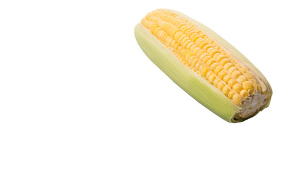 Sweet corn over white background © akulamatiau