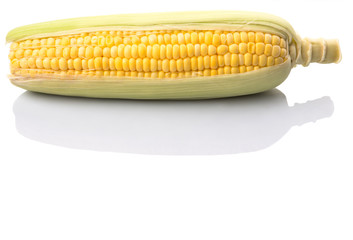 Sweet corn over white background © akulamatiau