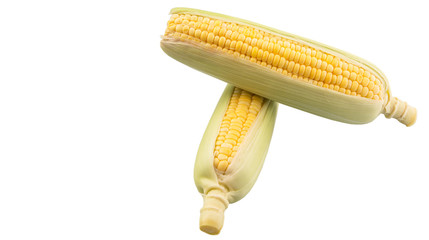 Sweet corn over white background © akulamatiau