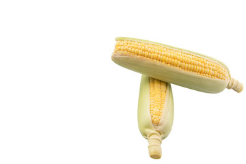 Sweet corn over white background © akulamatiau