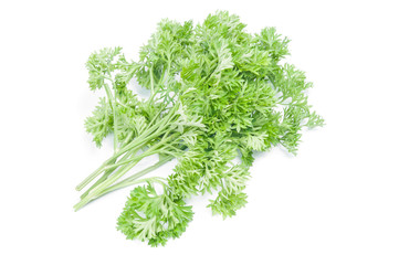 parsley isolated on white