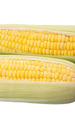 Sweet corn over white background