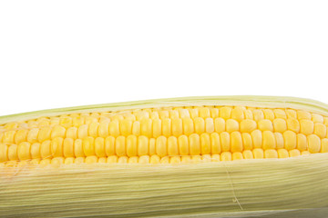 Sweet corn over white background