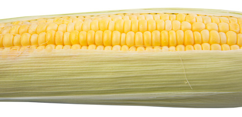Sweet corn over white background © akulamatiau