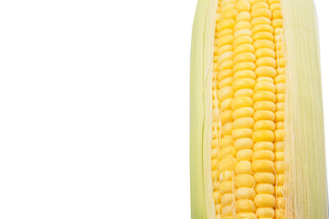 Sweet corn over white background © akulamatiau