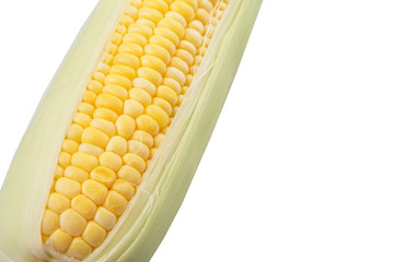 Sweet corn over white background © akulamatiau