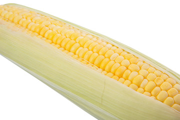 Sweet corn over white background © akulamatiau
