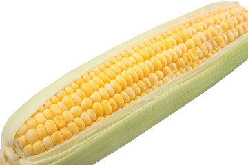 Sweet corn over white background