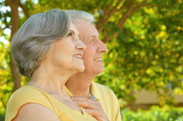 beautiful elderly couple