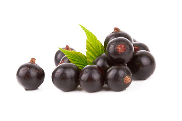 Black currants