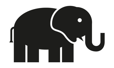 Elefant